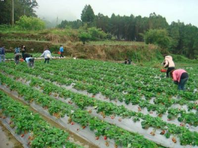 聯誼花絮 - 特別企劃