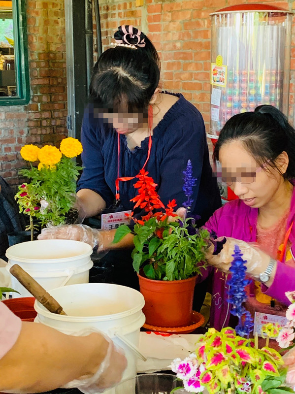 聯誼花絮 - 桃市府家教中心漫步森林一日遊