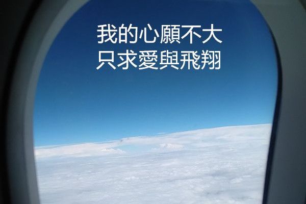 聯誼活動照片